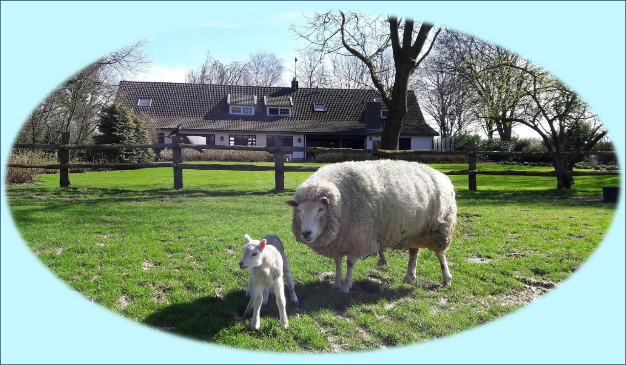 Het Geheim Bed & Breakfast Merselo